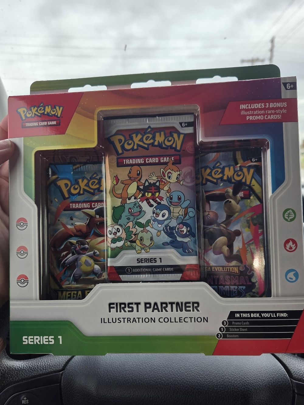Pokémon First Partner Illustration Collection -